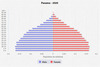 population pyramid