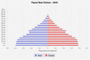 population pyramid
