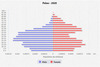 population pyramid