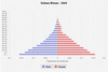population pyramid