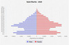 population pyramid