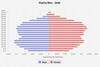 population pyramid