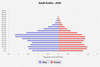 population pyramid