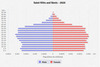 population pyramid