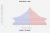 population pyramid