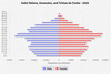 population pyramid 