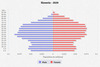 population pyramid