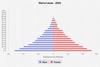 population pyramid