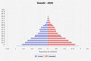 population pyramid