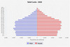 population pyramid