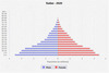 population pyramid