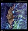 In the style of Van Gogh's painting "Starry Night," massive congregations of greenish phytoplankton swirl in the dark water around Gotland, a large Swedish island in the Baltic Sea, shown in this false-color satellite image. Phytoplankton are microscopic marine plants that form the first link in nearly all ocean food chains. Population explosions, or blooms, of phytoplankton, like the one shown here, occur when deep currents bring nutrients up to sunlit surface waters, fueling the growth and reproduction of these tiny plants. Image courtesy of USGS.