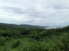 A view of some of the tropical terrain on the island of Saipan.
