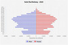 population pyramid