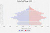 population pyramid
