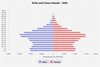 population pyramid 