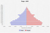 population pyramid