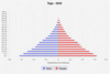 population pyramid