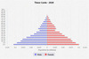 population pyramid