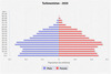 population pyramid