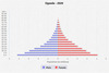 population pyramid