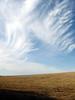 Vaults of clouds climb above the fields by Overton Hill in Wiltshire, England. Numerous tumuli (burial mounds) dot the hill, which has been the focus of human activities for over 5,000 years. 