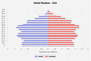 population pyramid