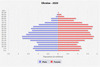population pyramid