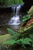 Blue Hen Falls in the spring in Cuyahoga Valley National Park, Ohio. Photo courtesy of the US National Park Service.