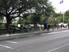 Mule-drawn carriage rides are an iconic and popular way to tour the French Quarter of New Orleans.