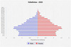 population pyramid