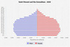 population pyramid