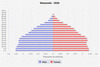 population pyramid