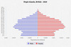 population pyramid