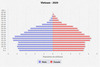 population pyramid