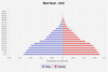 population pyramid