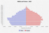 population pyramid