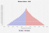 population pyramid