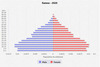 population pyramid