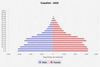 population pyramid