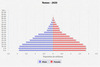 population pyramid