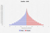 population pyramid