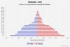 population pyramid