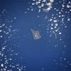 The largest of the three Volcano Islands, Iwo Jima is seen here from the north. The island is about 8 km (5 mi) long and 4 km (2.5 mi) wide, and covers an area of 21 sq km (8 sq mi). Mount Suribachi (167 m; 546 ft  high), on the south side of the island, is an extinct volcano. Iwo Jima was the scene of one of the bloodiest battles in the Pacific Theater of World War II. Image courtesy of NASA. 